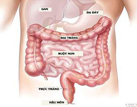 Ung thư đại trực tràng nếu phát hiện sớm có thể chữa lành.